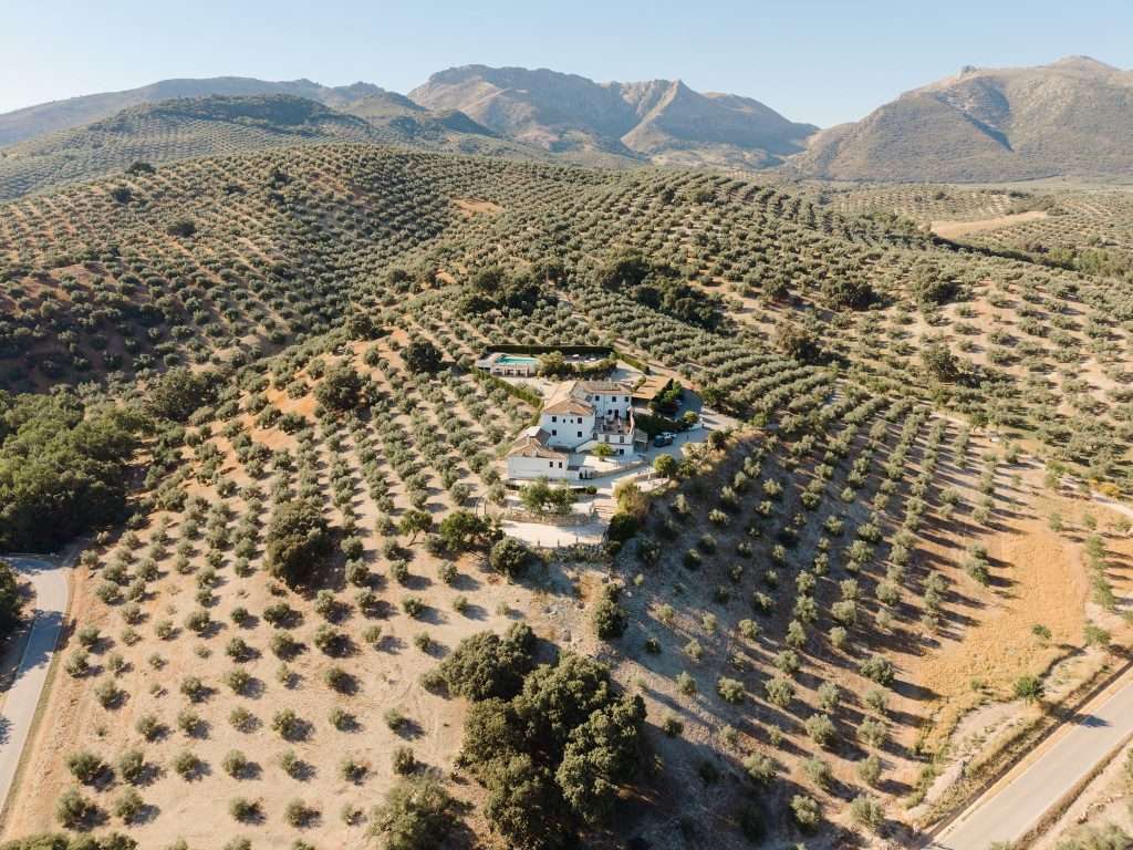 Luftaufnahme der Hochzeitslocation Cortijo La Presa inmitten von Olivenhainen, Córdoba
